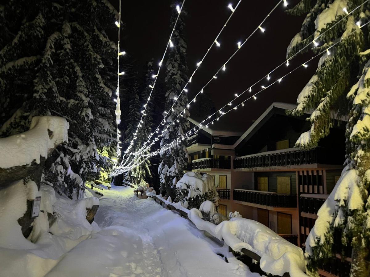 Cosy Studio For 4 Near Ski Lift, Melezes K22 Veysonnaz ภายนอก รูปภาพ